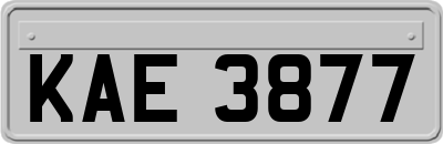 KAE3877