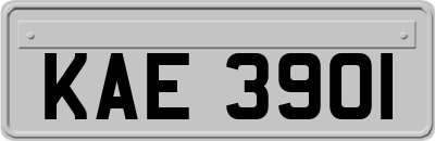KAE3901