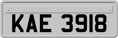 KAE3918