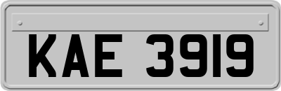 KAE3919