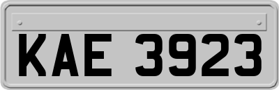KAE3923