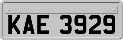 KAE3929