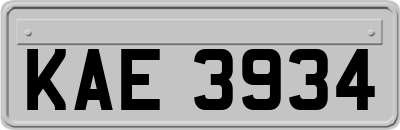 KAE3934