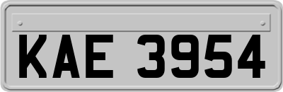 KAE3954