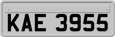 KAE3955