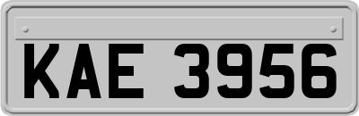 KAE3956
