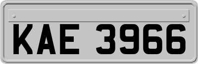 KAE3966