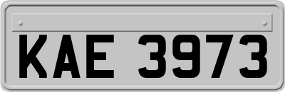 KAE3973