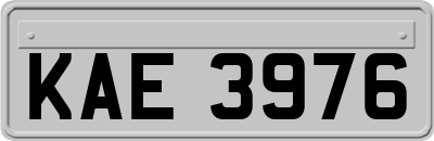 KAE3976