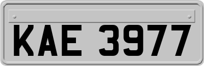 KAE3977