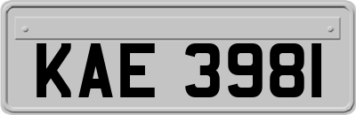 KAE3981
