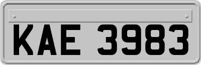KAE3983