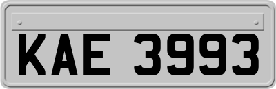 KAE3993