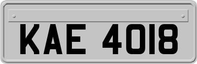 KAE4018