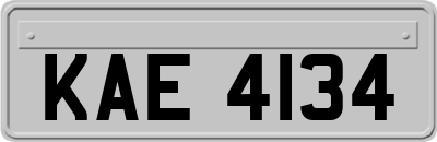 KAE4134
