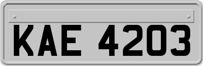 KAE4203