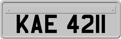 KAE4211
