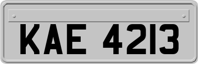KAE4213