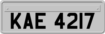 KAE4217