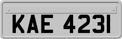 KAE4231