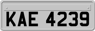 KAE4239