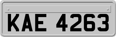 KAE4263