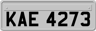 KAE4273