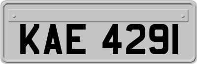 KAE4291