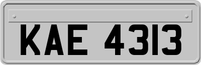 KAE4313