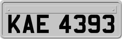 KAE4393