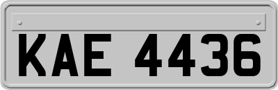 KAE4436