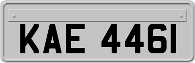 KAE4461