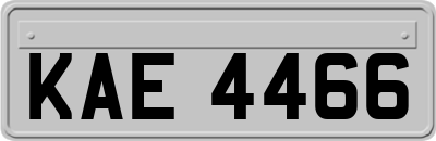 KAE4466