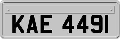 KAE4491