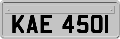 KAE4501