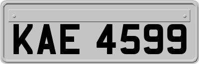 KAE4599