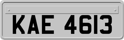 KAE4613