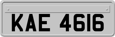 KAE4616