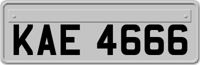 KAE4666