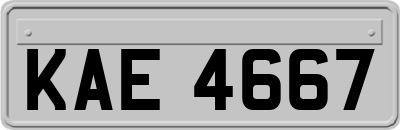 KAE4667