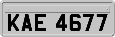 KAE4677