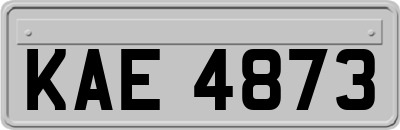 KAE4873