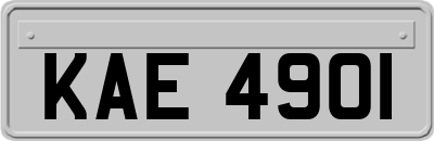KAE4901