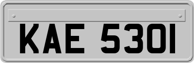 KAE5301