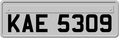 KAE5309