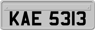 KAE5313