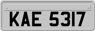 KAE5317