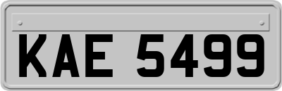 KAE5499