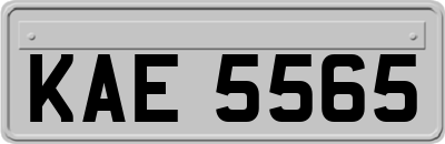 KAE5565