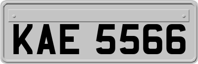 KAE5566